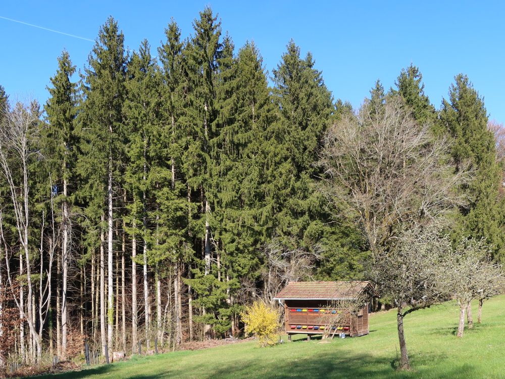 Bienenhäuschen