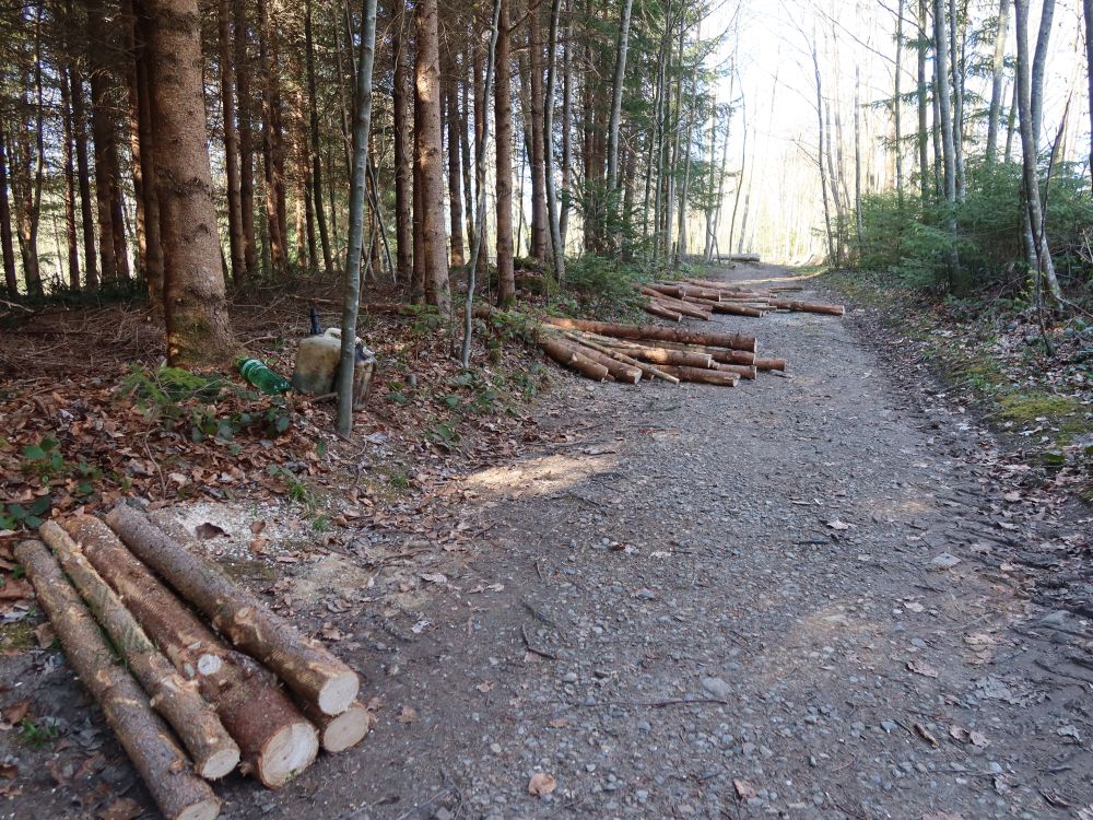 Holzschlag