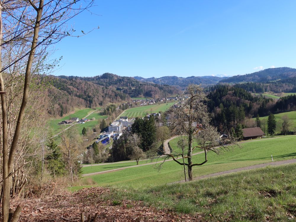 Blick Richtung Saland