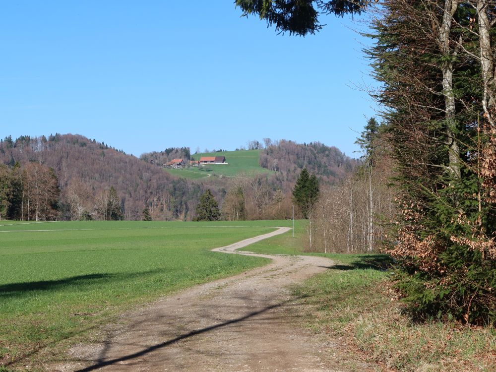 Schnäggenbordweg
