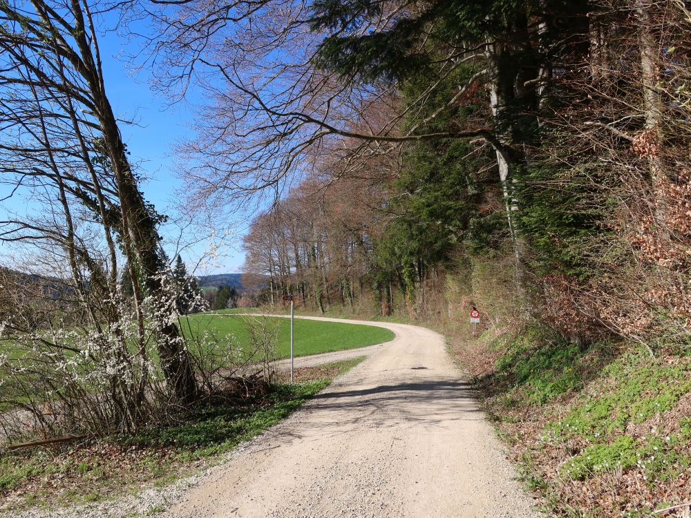 Tösseggerstrasse