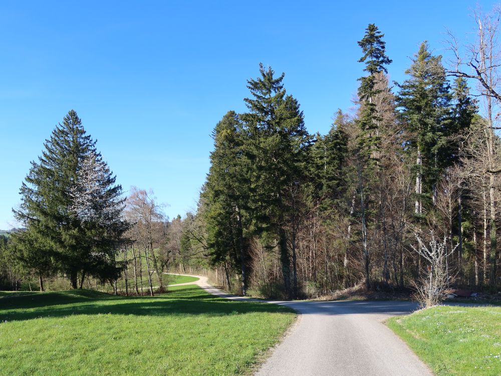 Bodenweiherstrasse