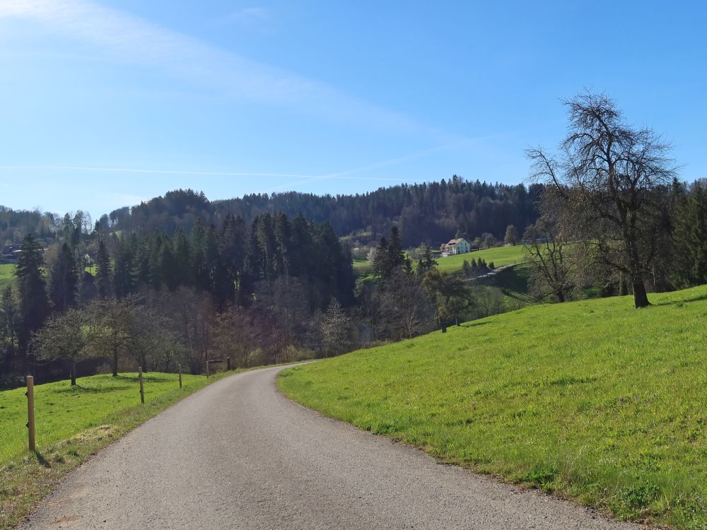 Bodenweiherstrasse