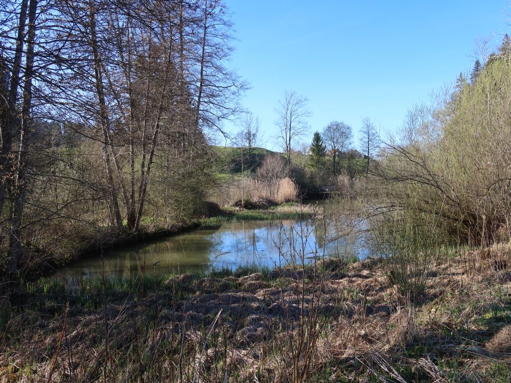 Bodenweiher