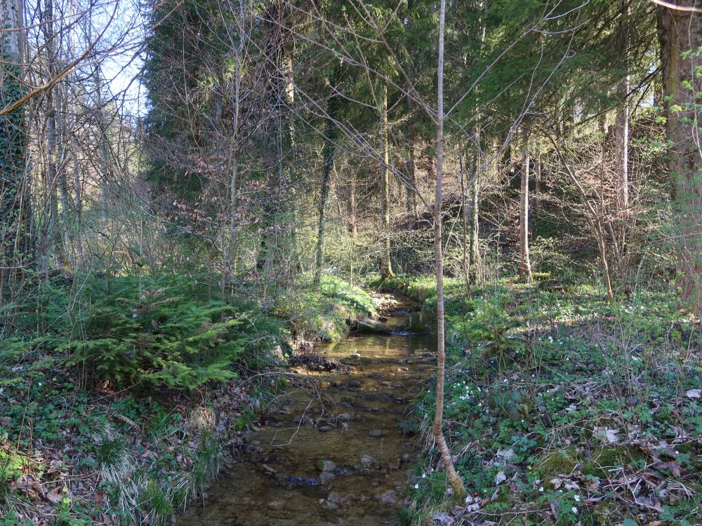 Reinisbach