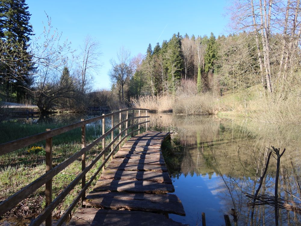Steg am Bodenweiger