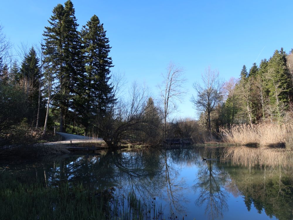 Bodenweiher