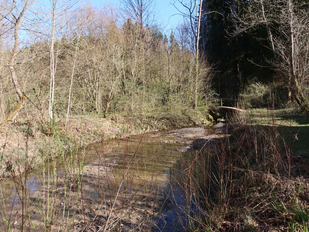 Reinisbach