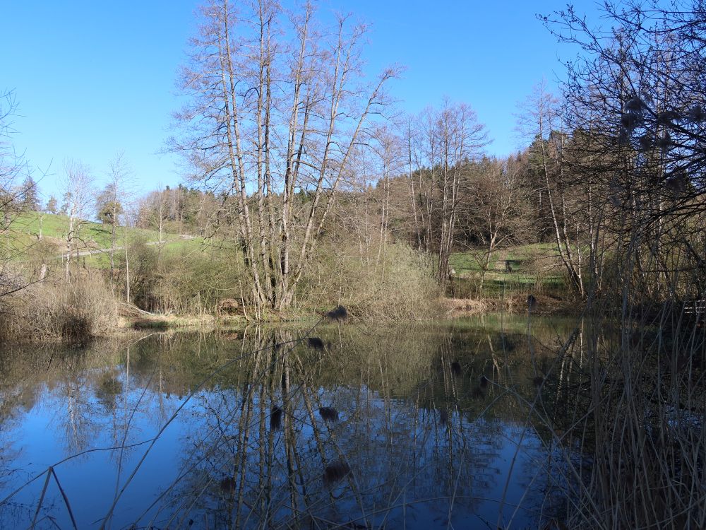 Bodenweiher