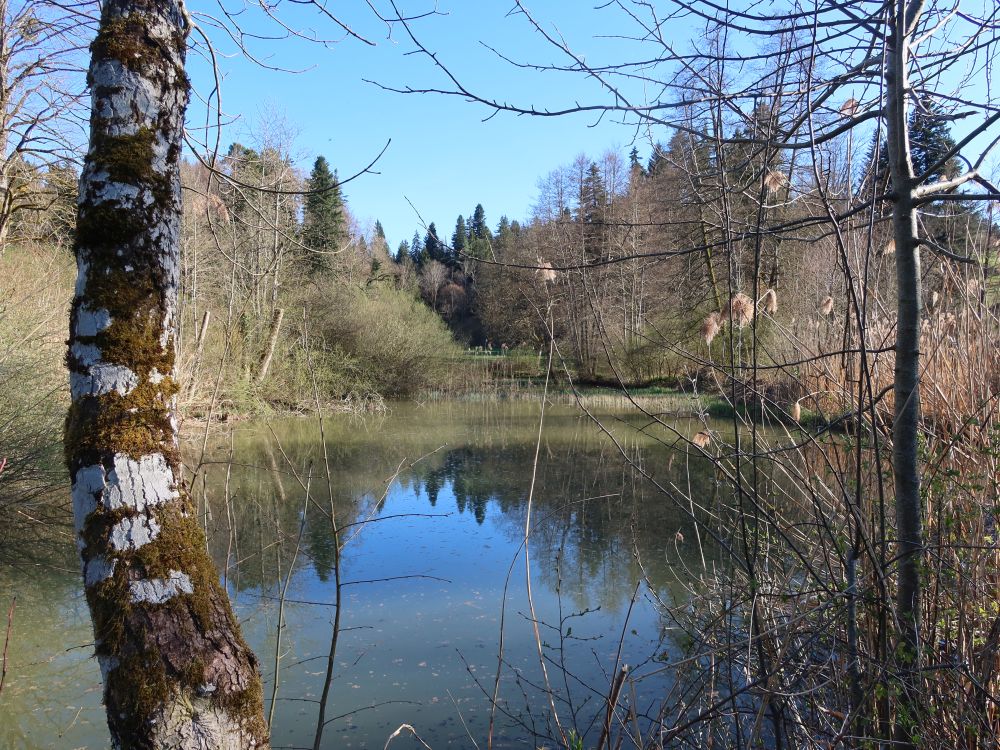 Bodenweiher