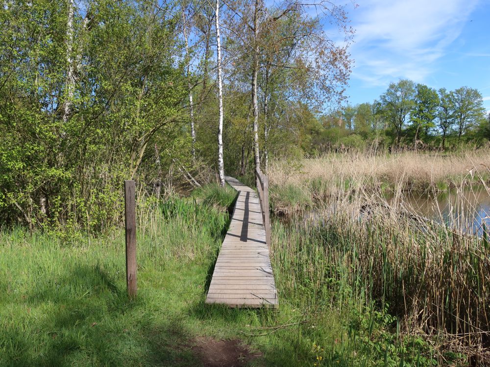 Steg am Teich