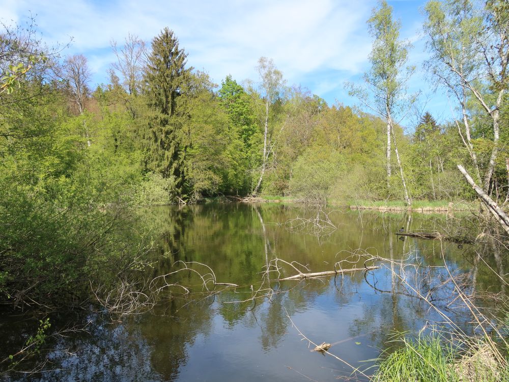 Teich im Örmis