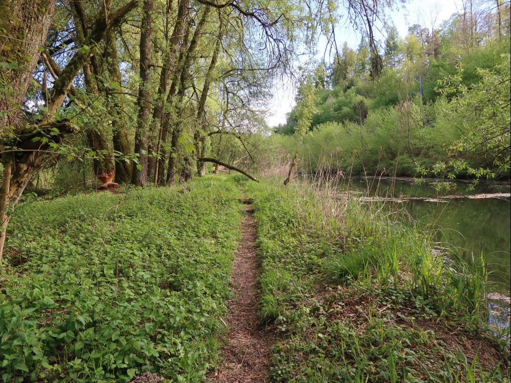 Pfad am Oberen Weiher