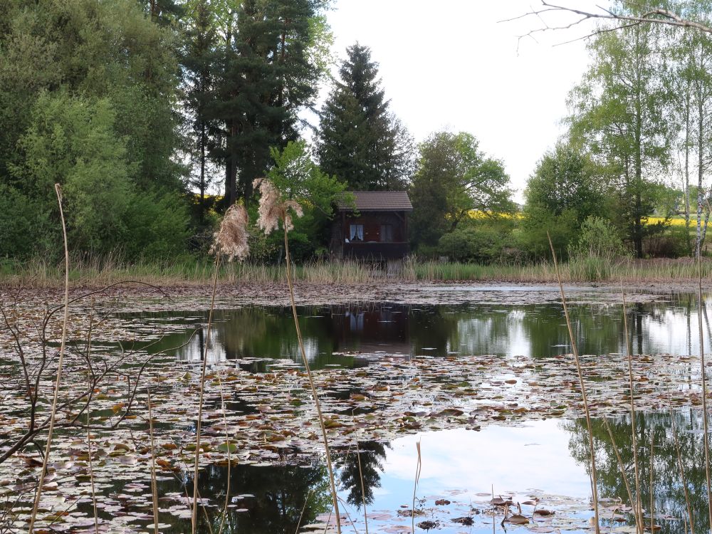 Hütte am Weiher
