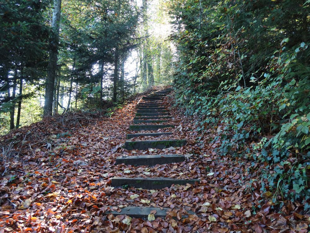 Treppe