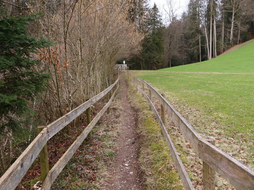 Pfad zwischen Zäunen
