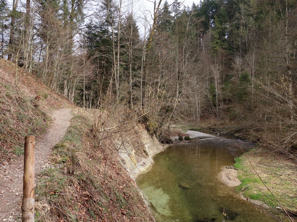 Pfad am Wissbach