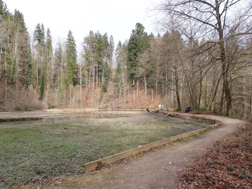 Wisssee