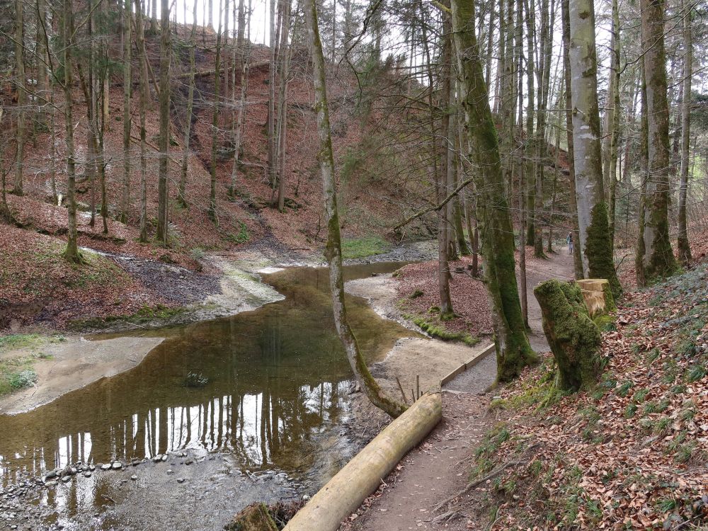 Wissbach