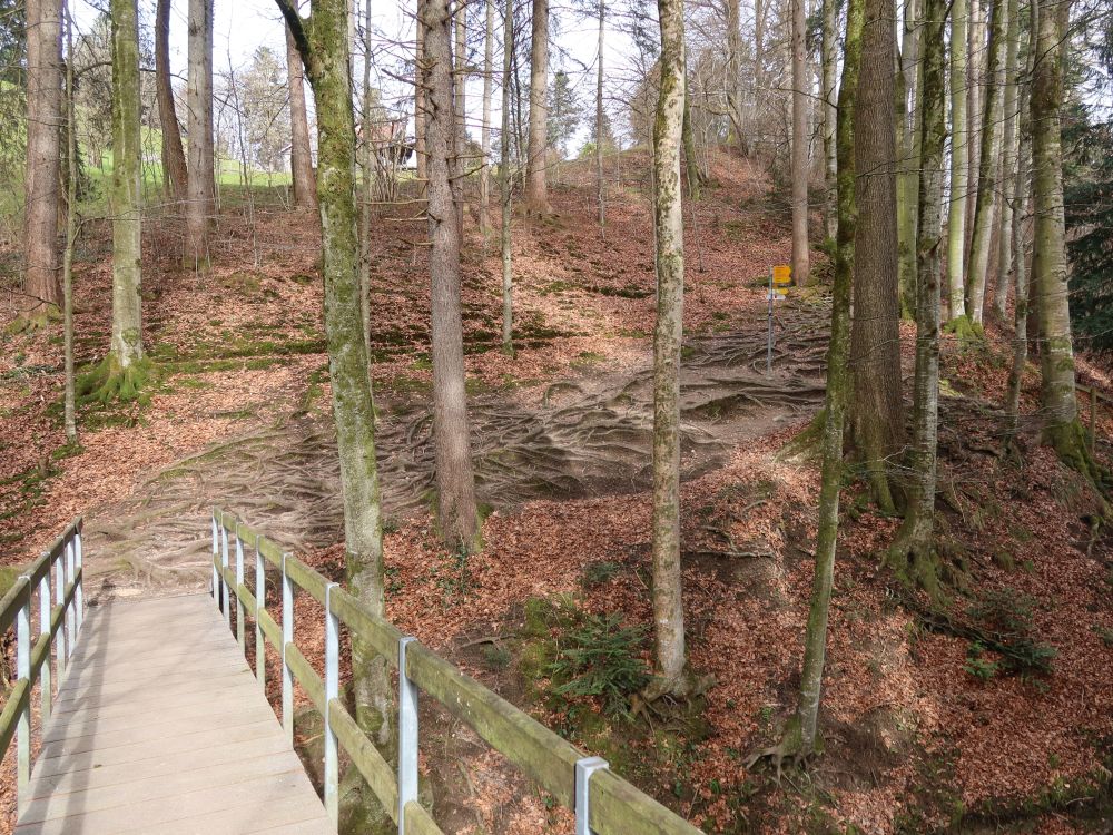 Steg am Wissbach