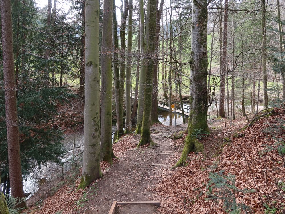 Wissbach mit Steg