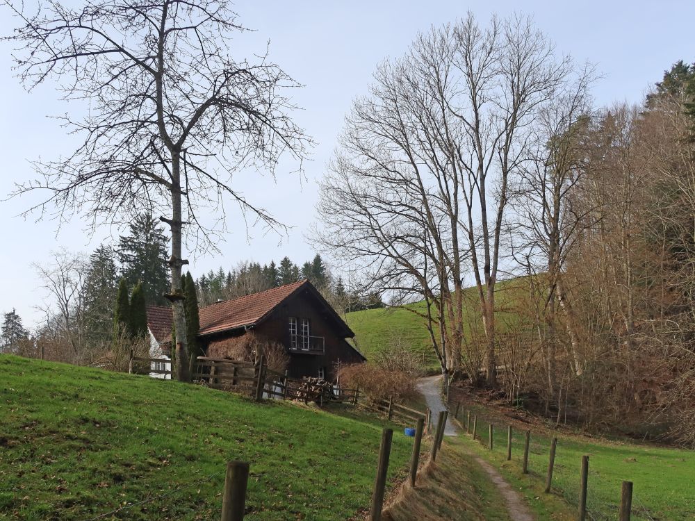 Haus im Böhl