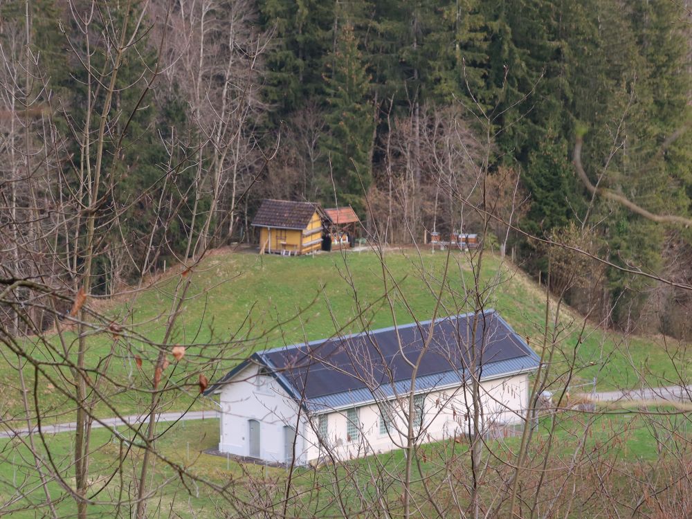 Blick auf Tobelmüli