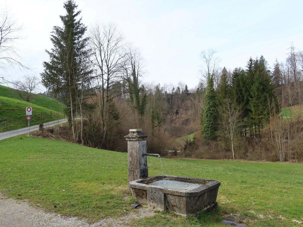 Brunnen bei Tobelmüli