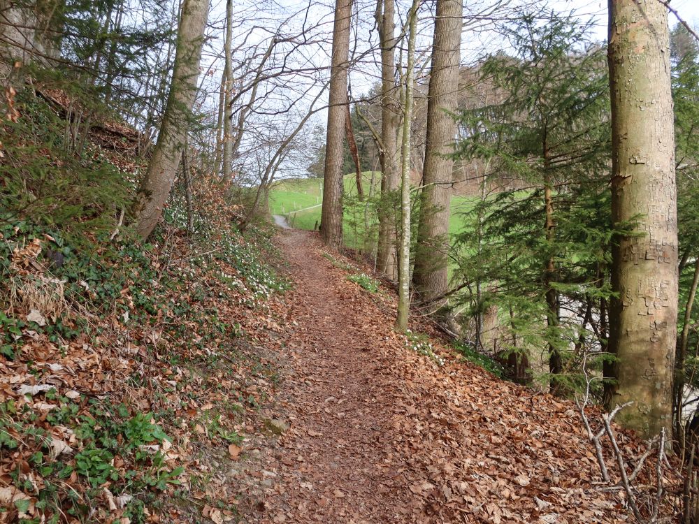 Tobelmüliweg