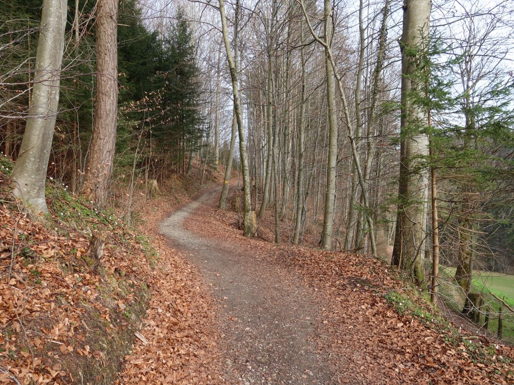 Holbleichiweg