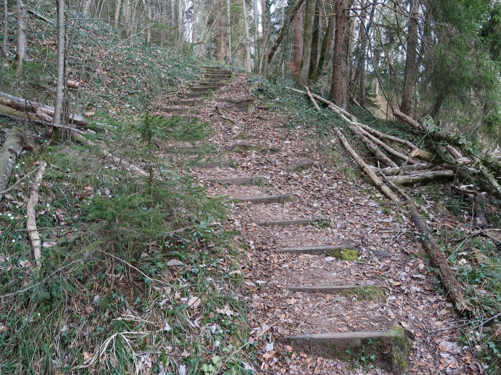 Treppe