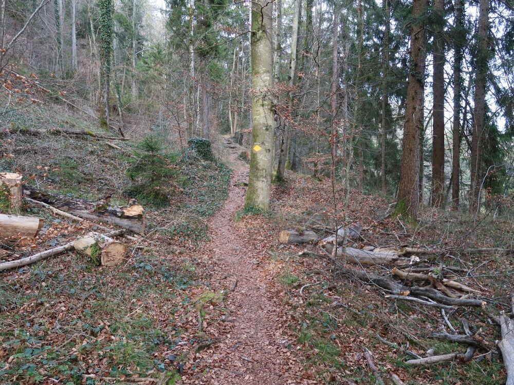 Holbleichiweg