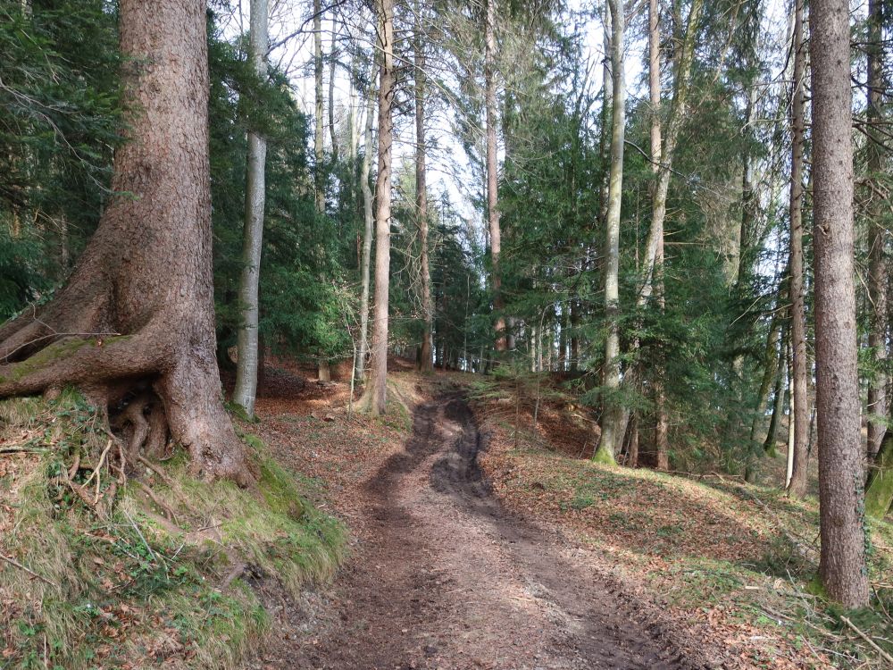 Holbleichiweg