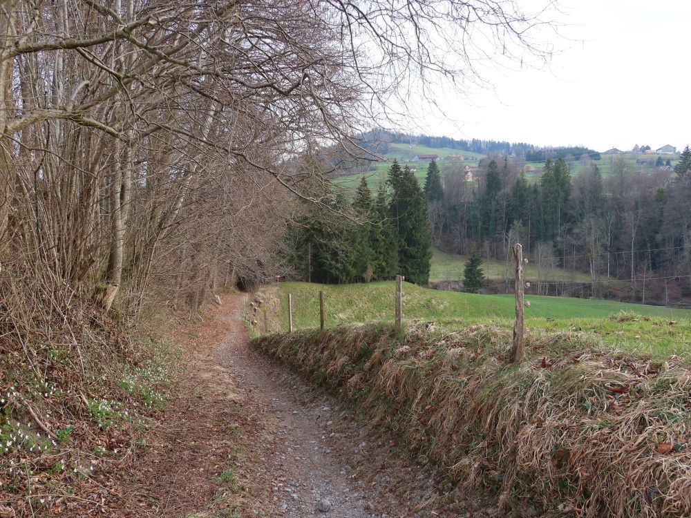 Glattweg
