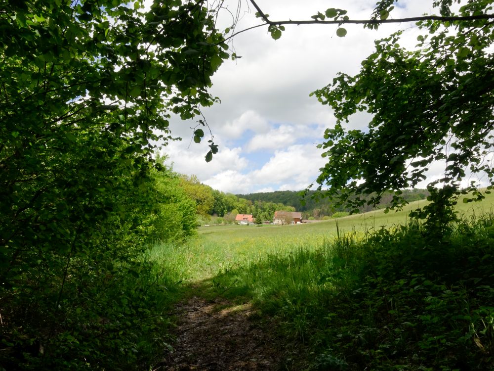 Blick zum Kreuzhof