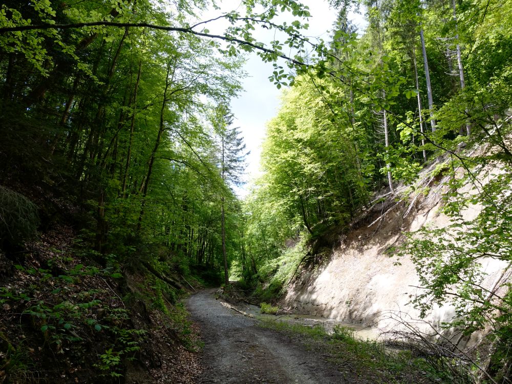 Schienerbachtal