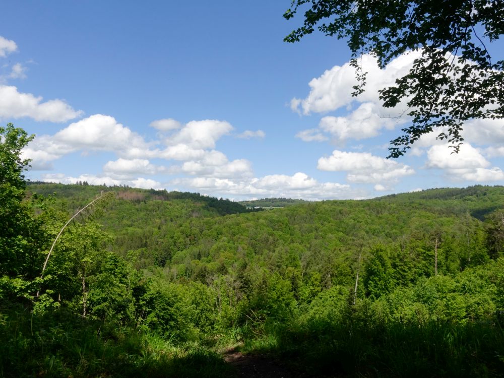 Blick über das Schienerbachtal