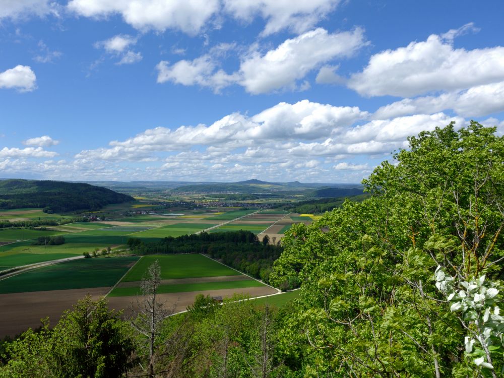 Blick Richtung Hegau