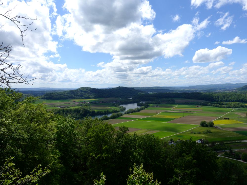 Blick zum Rhein