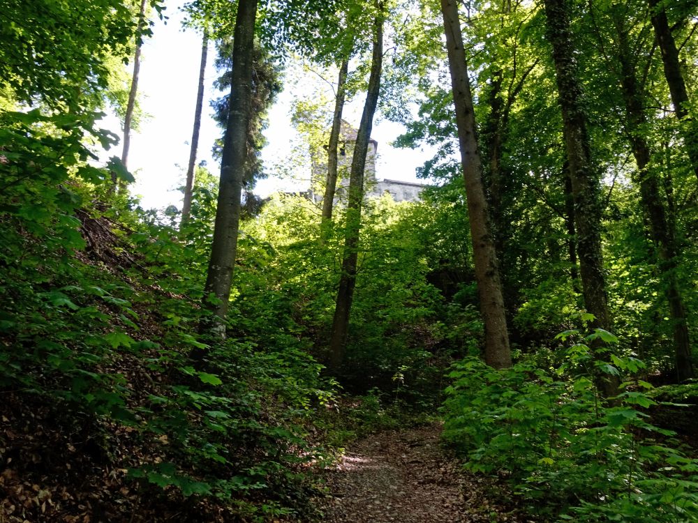 Burg Hohenklingen