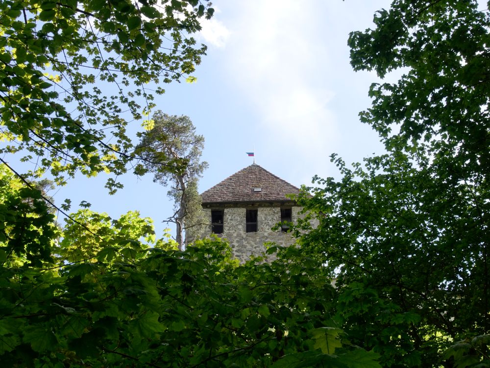 Burg Hohenklingen