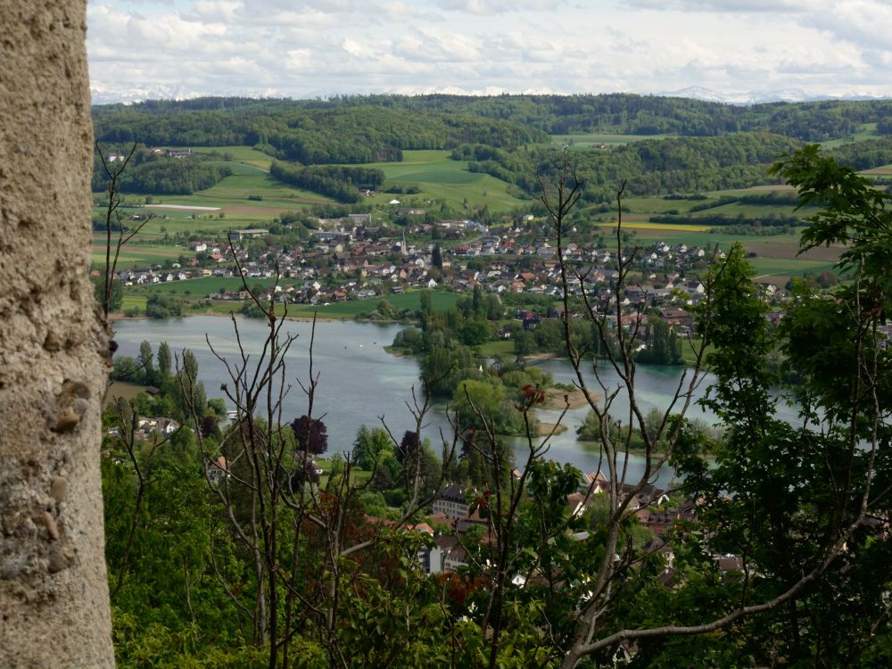 Indel Werd im Rhein