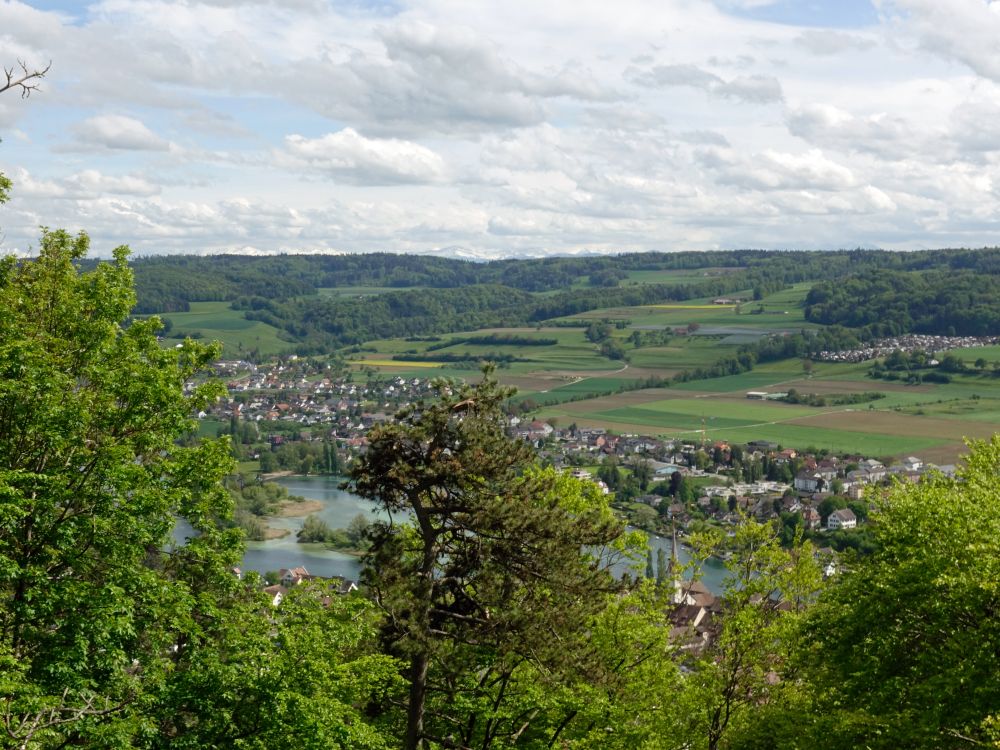 Eschenz am Rhein