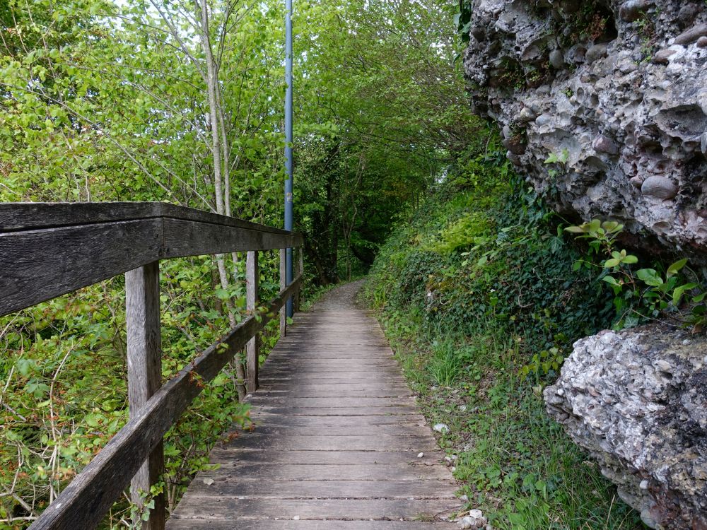 Holzsteg unter der Burg