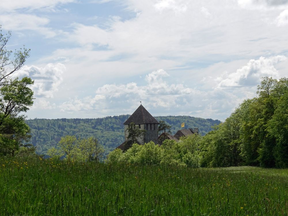 Burg Klingenstein