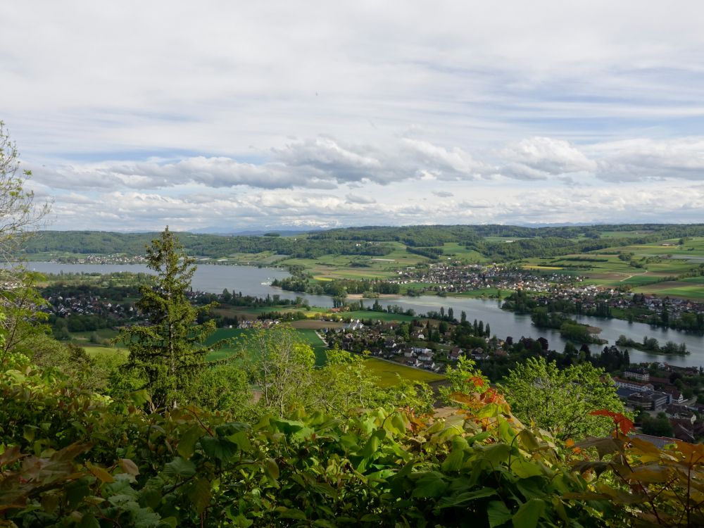 Blick auf den Rhein