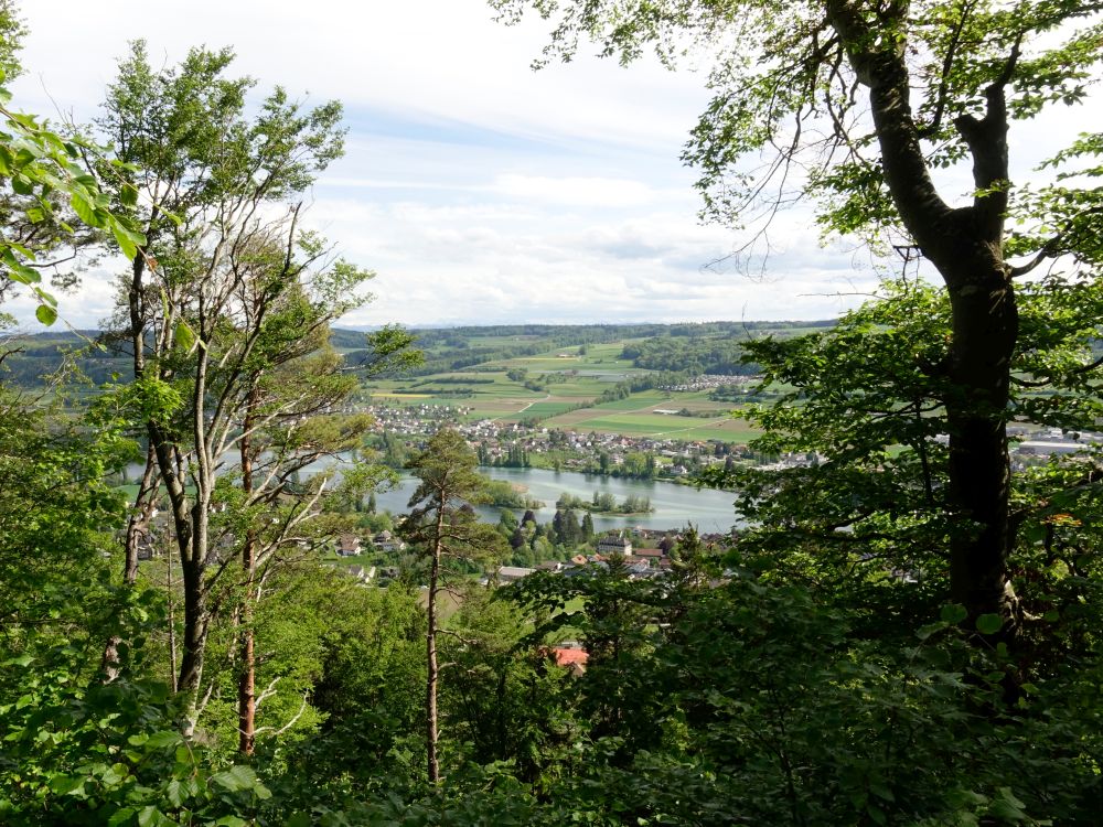 Blick auf den Rhein