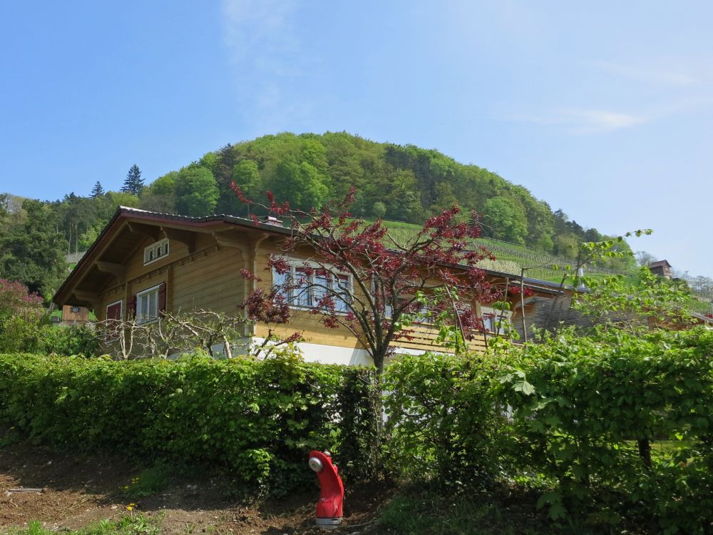 Holzhaus bei Stein am Rhein