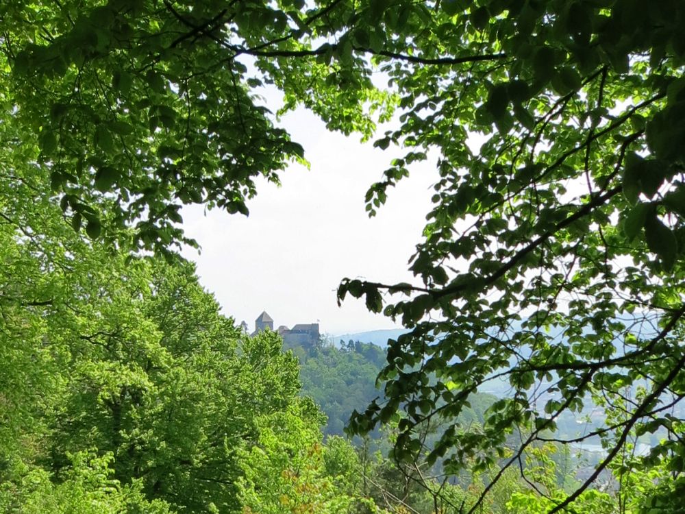 Burg Klingenstein