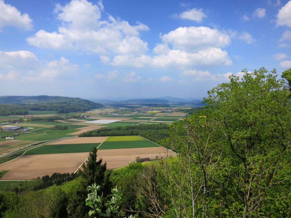 Blick Richtung Hegau